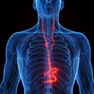 2026 NCH Vagus Nerve Stimulation (VNS) for Stroke Recovery: Clinical Integration & Best Practices Banner